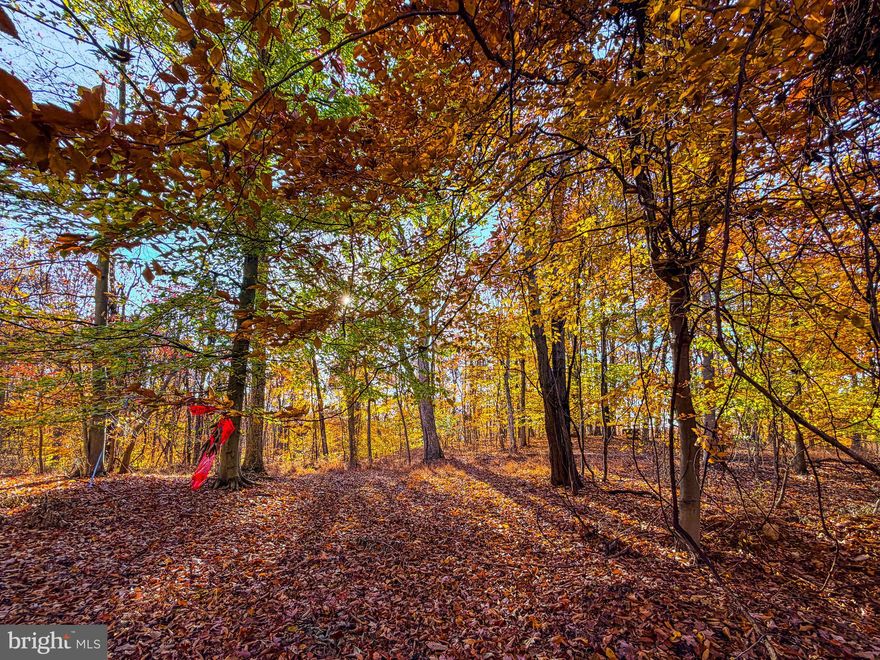 Custom Dream Home on 2.6 acres of trees.  No HOA!  Rural.