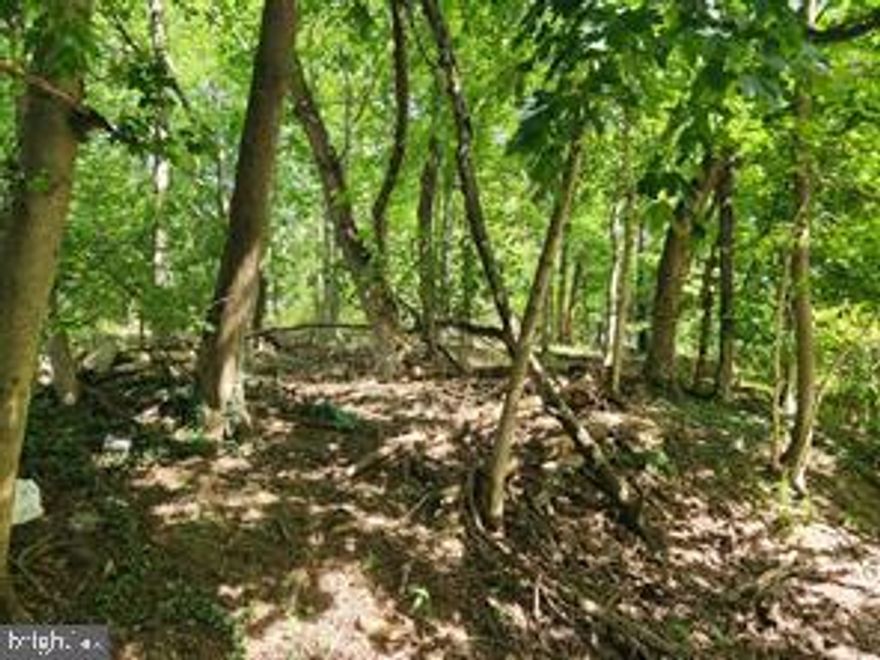 .12 acre lot that is currently land locked, see plot plan.  1615 Powder Mill Rd home is across the street.