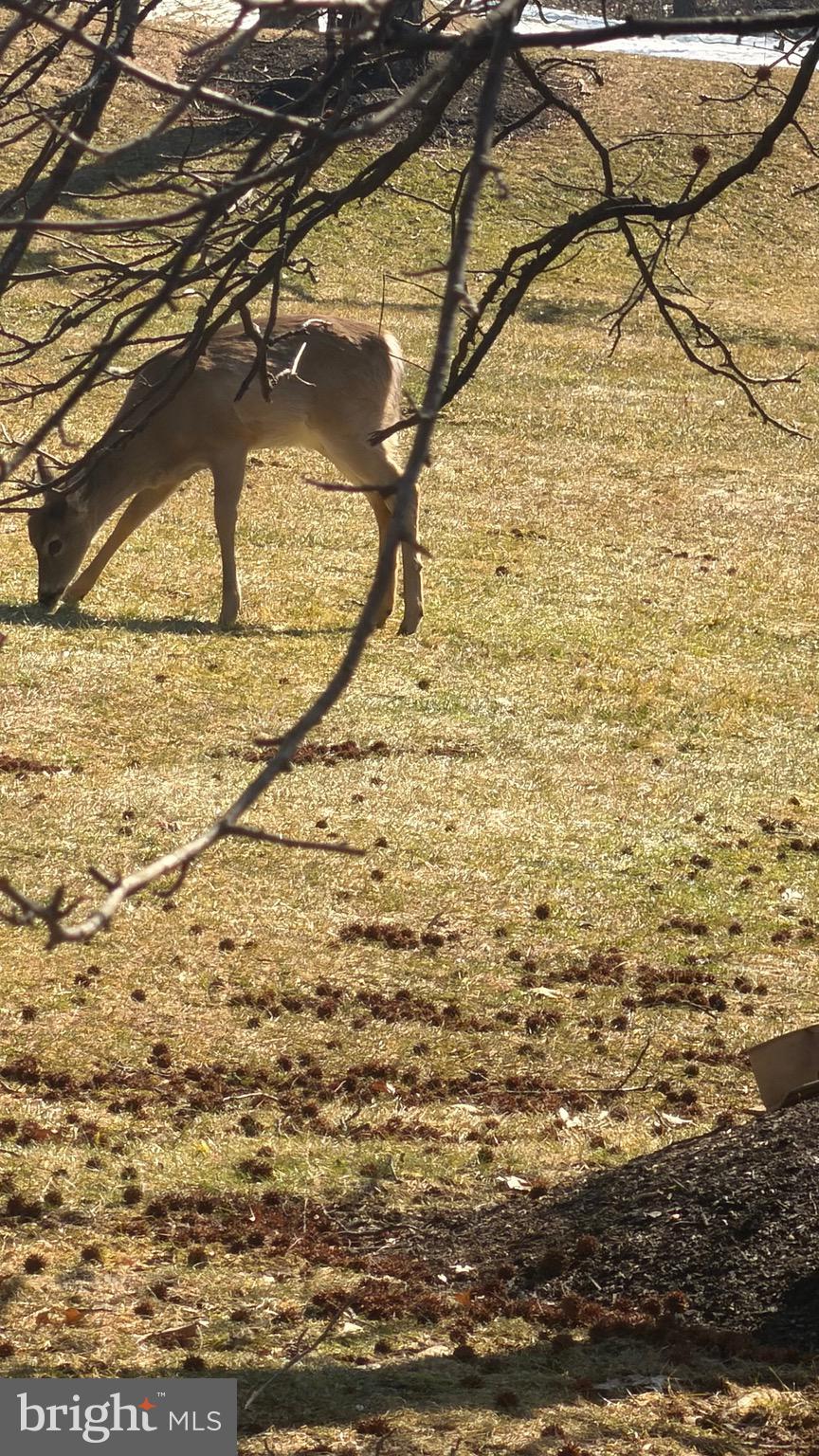 EAGLES RIDGE - Residential