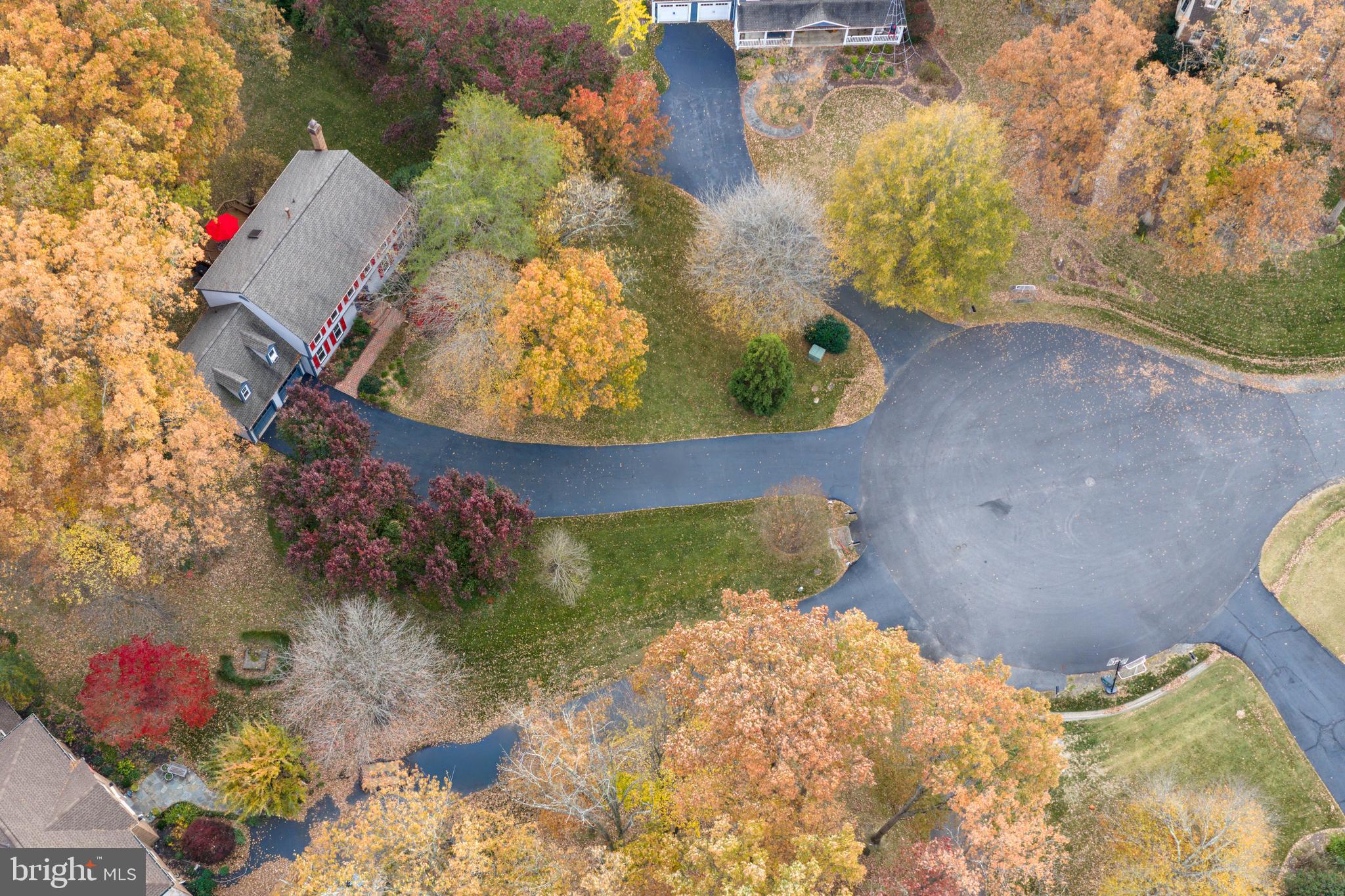 9701 TREE HOLLOW COURT