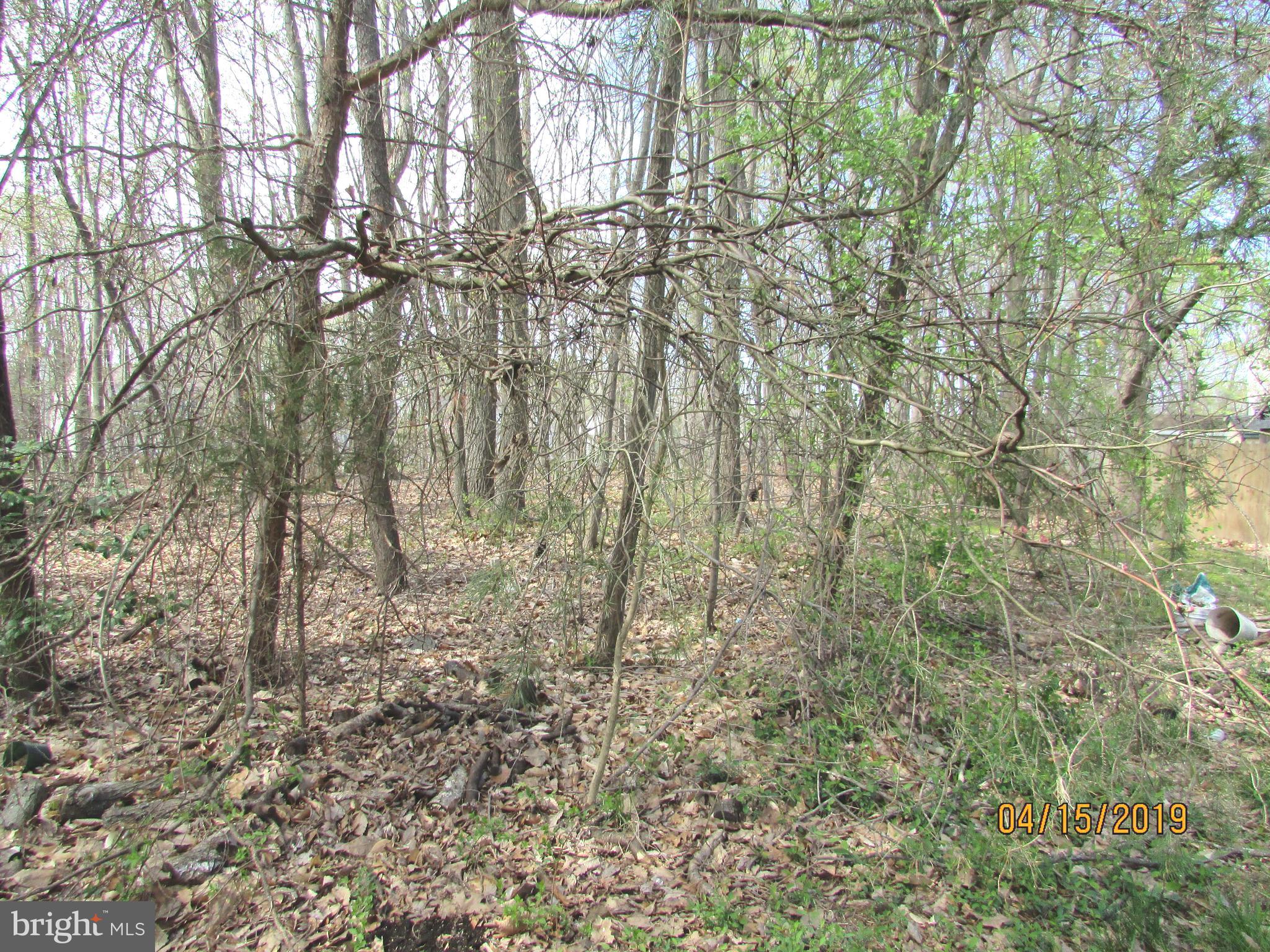 ARBORVIEW - Residential