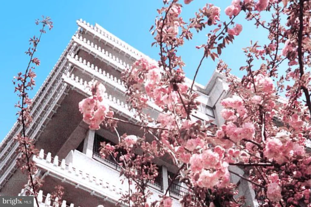 2500 Virginia Avenue NW Unit 1005-S, Washington, DC 20037