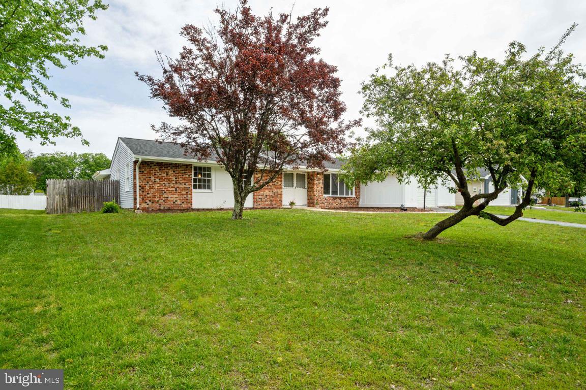 PINEFIELD - Residential