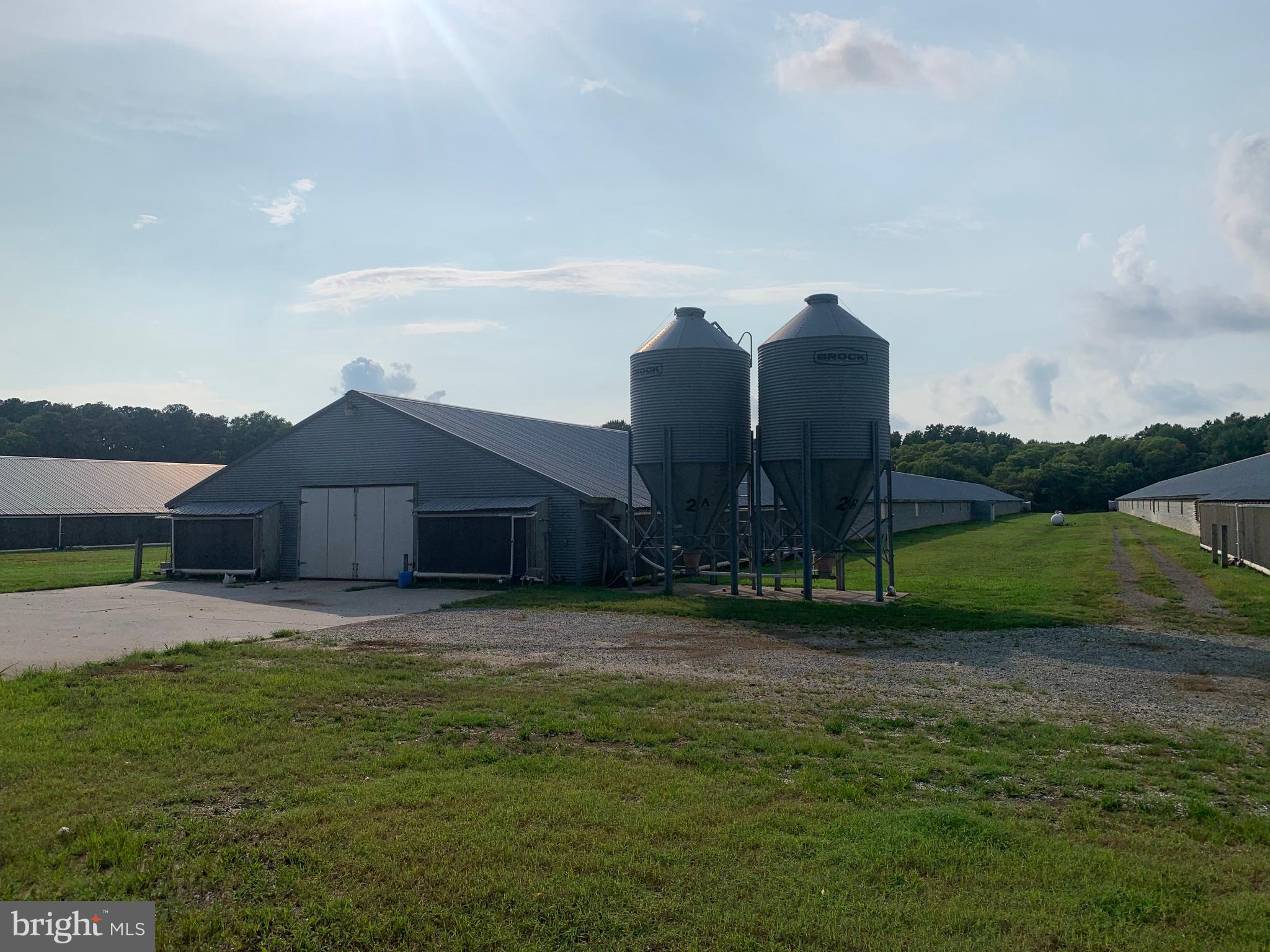 NONE AVAILABLE - Farm