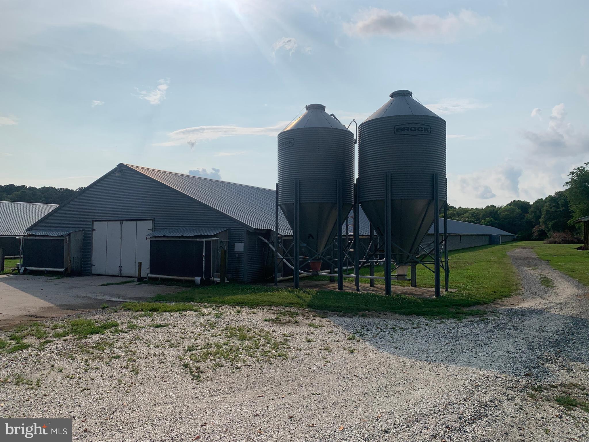 NONE AVAILABLE - Farm
