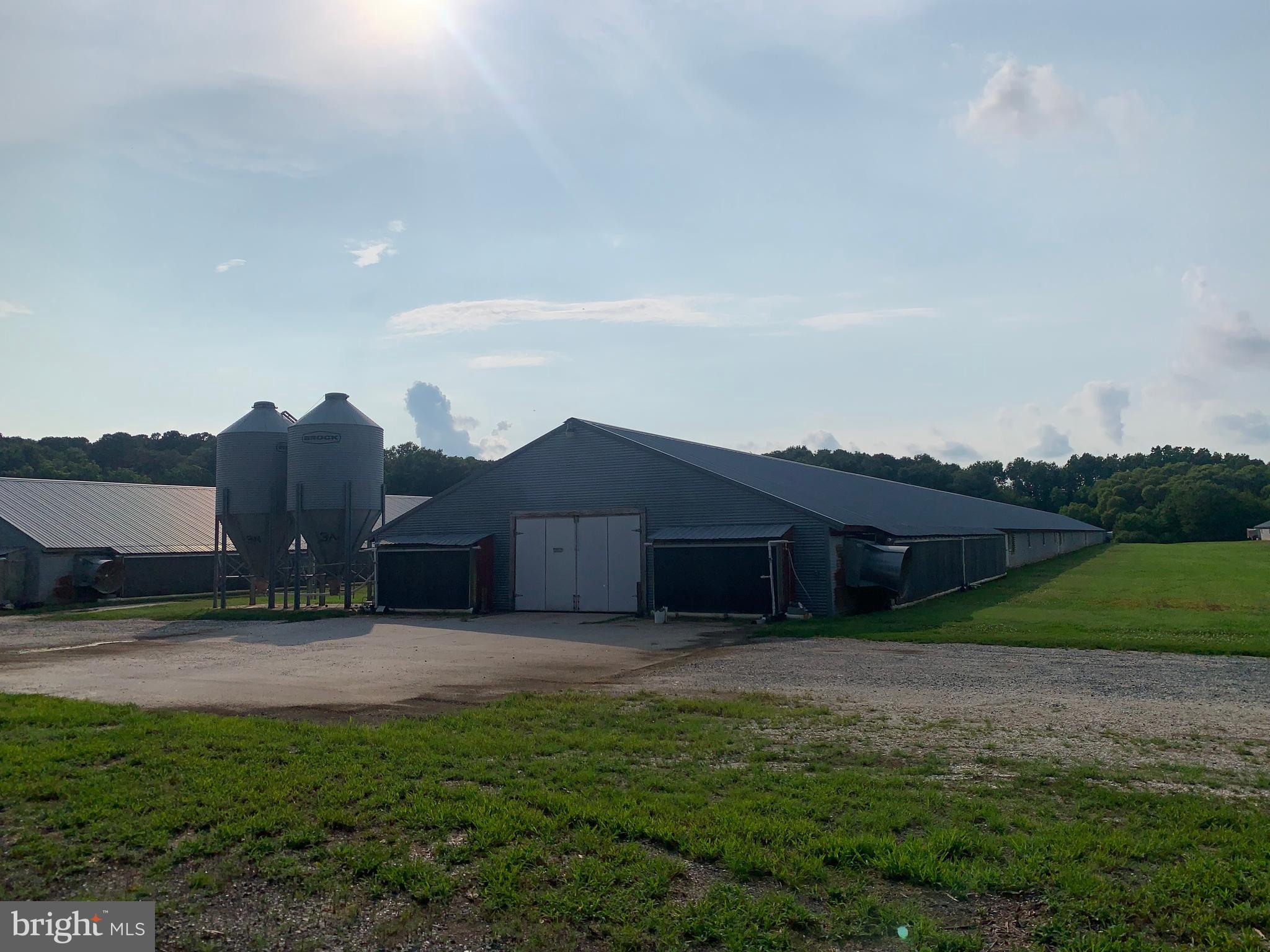 NONE AVAILABLE - Farm