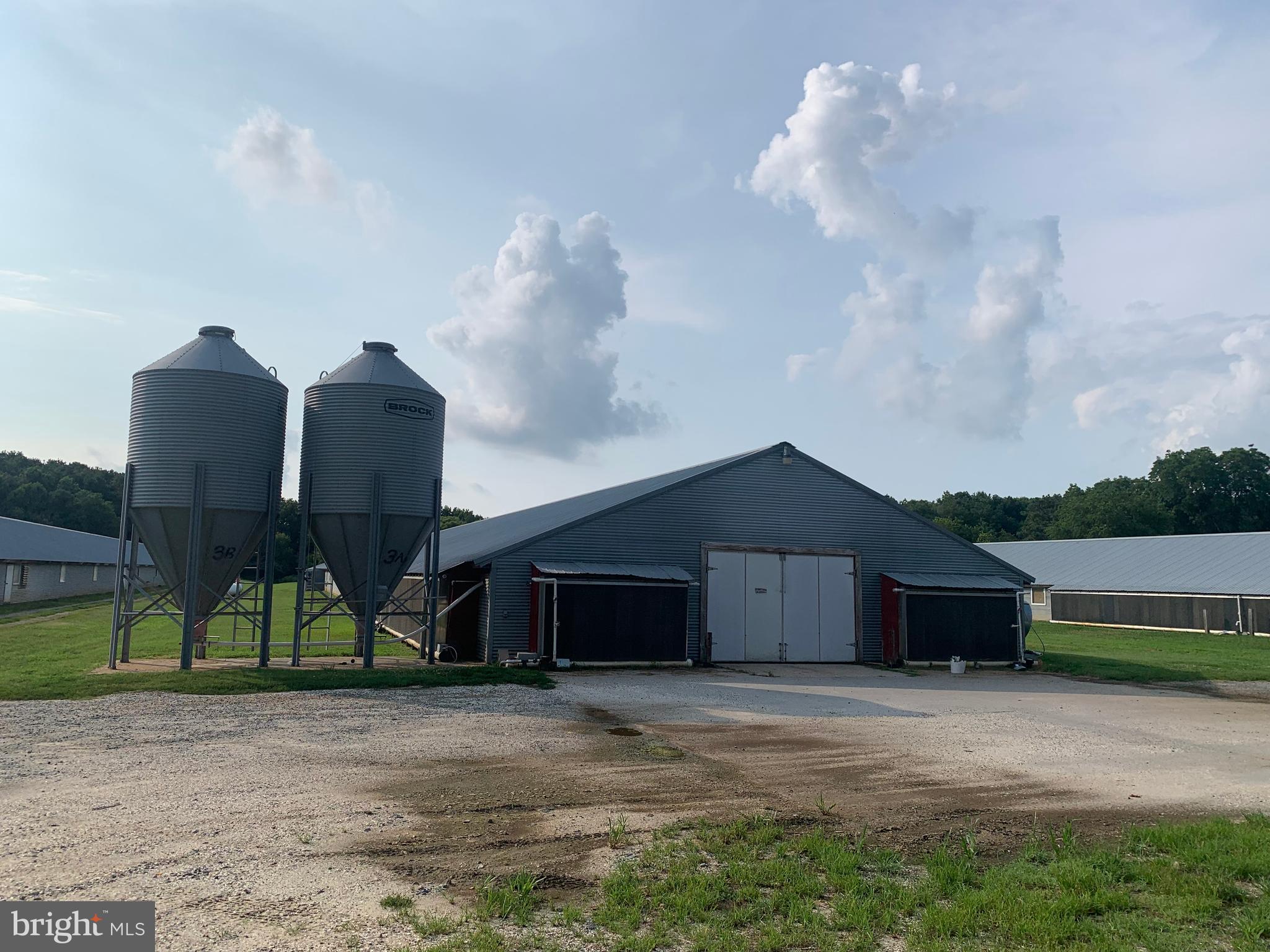 NONE AVAILABLE - Farm