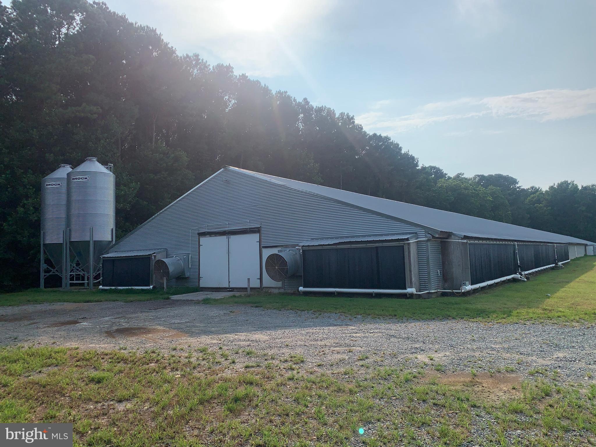 NONE AVAILABLE - Farm
