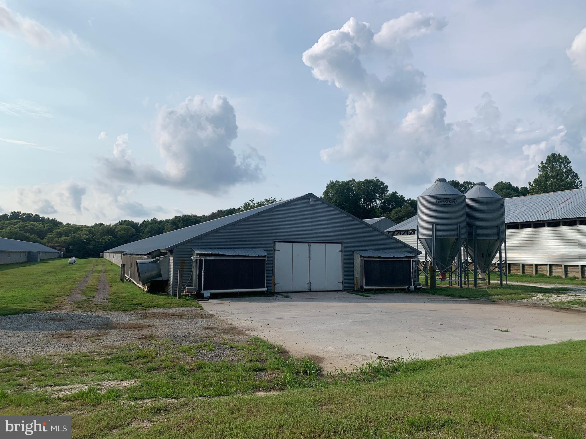 NONE AVAILABLE - Farm