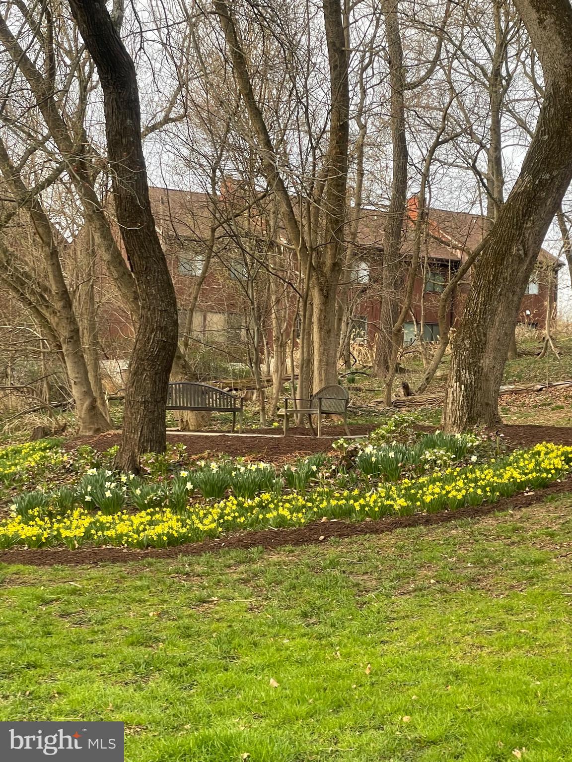 TOWN CENTER - Residential