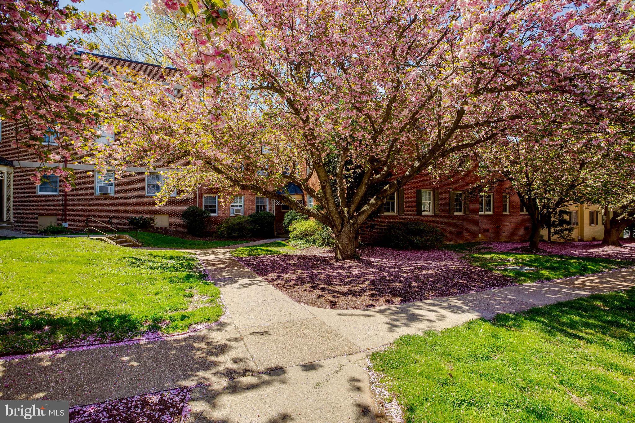 ROCK CREEK VILLAGE CONDOMINIUMS - Residential