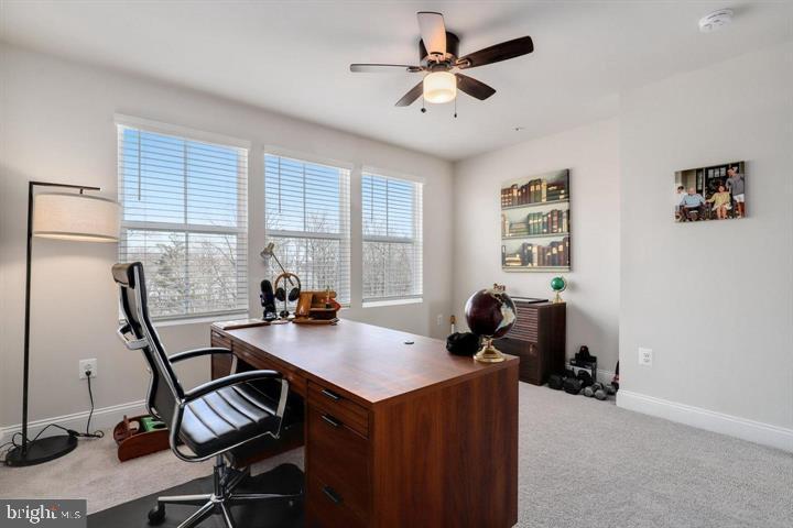 OXFORD SQUARE - Residential Lease