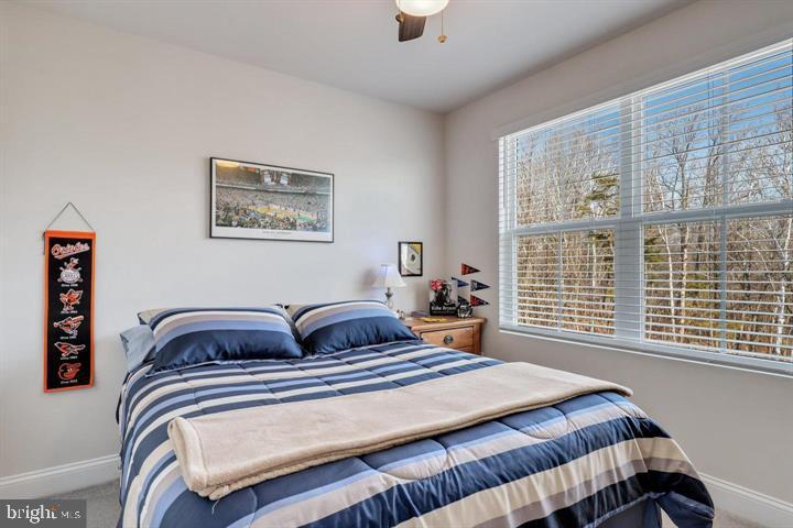 OXFORD SQUARE - Residential Lease