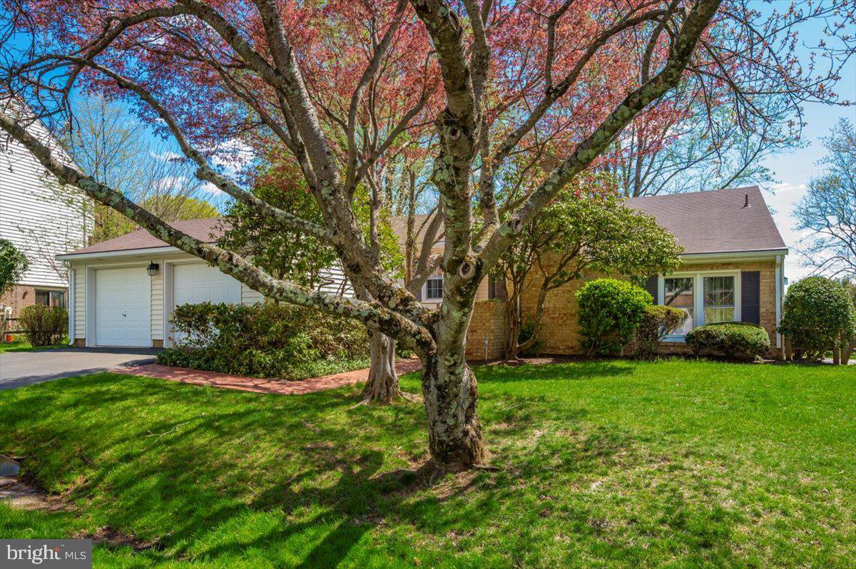 FAIRIDGE - Residential