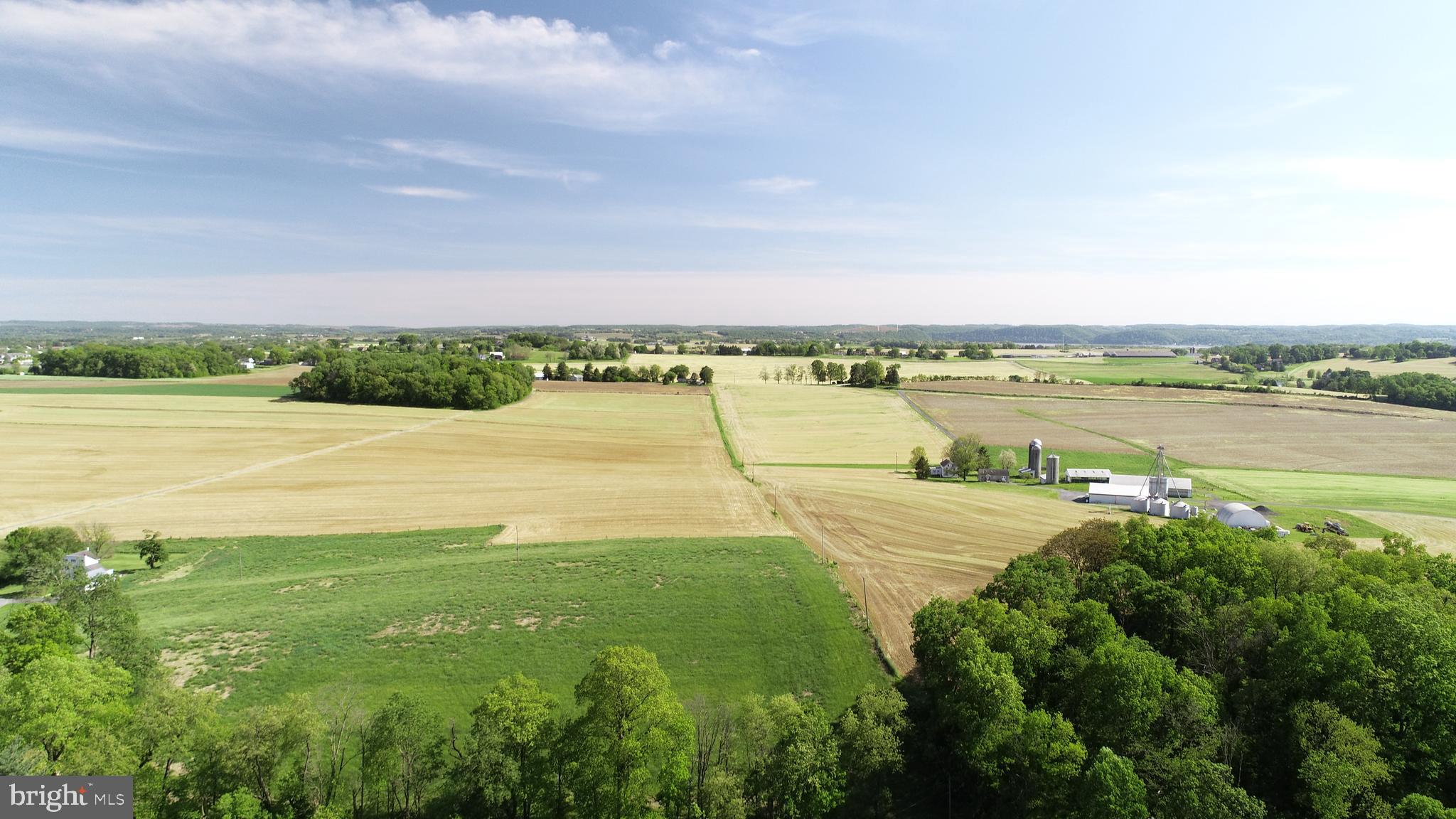 3806 LOCUST GROVE ROAD