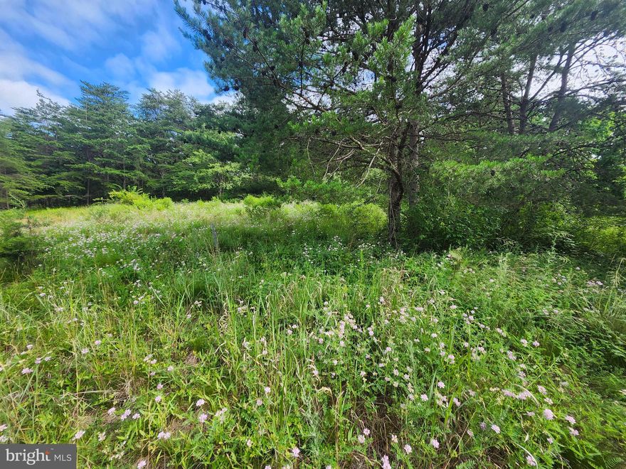A sprawling 5-acre parcel of land tucked into the Hampshire County mountains. Offering impressive views from its level build site just atop a gentle knoll, this property promises to deliver!  Rest assured, the uncertainty is removed with this surveyed and successfully perked lot. With all the groundwork laid, you can confidently embark on the journey of realizing your vision for a mountain retreat or dream home.  Despite its advantages, this parcel comes with a refreshingly small price tag, making it an affordable opportunity to own a great WV parcel.  Outdoor enthusiasts will enjoy that this property is conveniently located close to many recreational activities that historic Hampshire County has to offer. Public access points just minutes away provide easy entry to fishing, floating, hiking, and hunting grounds and endless opportunities for adventure and exploration.  While mobile homes are not permitted, camping and recreational use is welcomed.  Hang out here and enjoy the peace, quiet and beautiful surroundings while you contemplate building your forever home!
