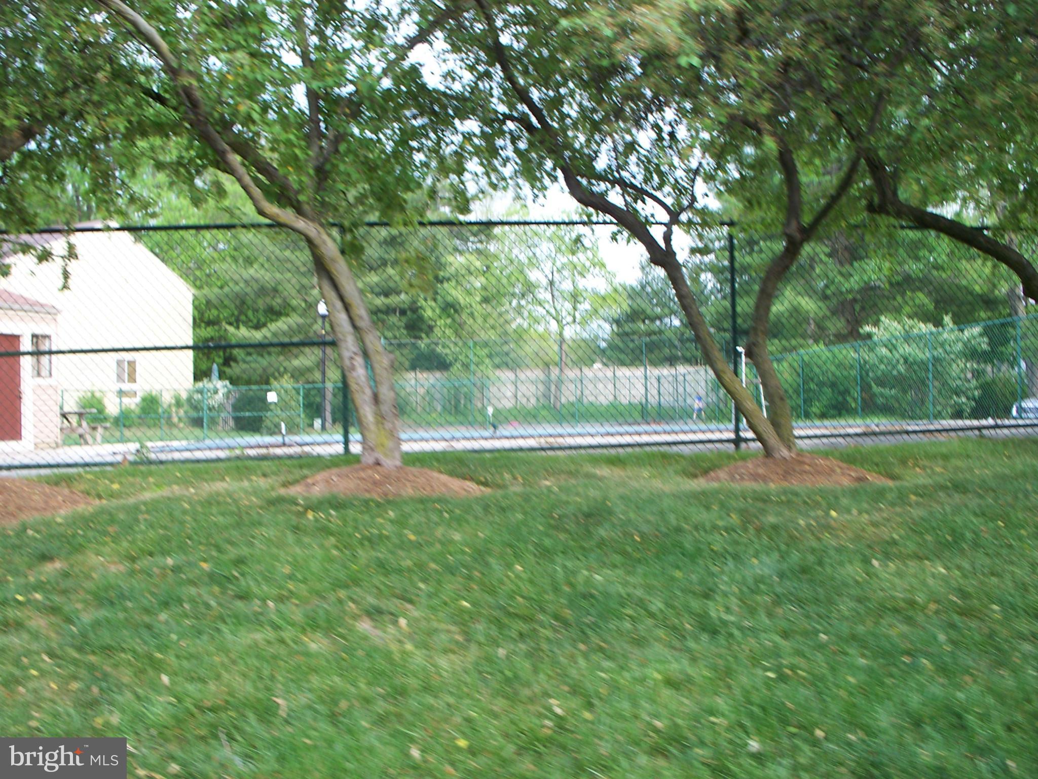 PAINTERS HILL - Residential Lease