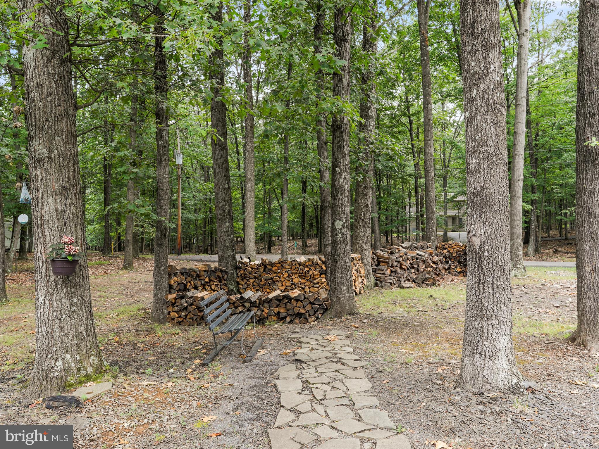 THE WOODS - Residential