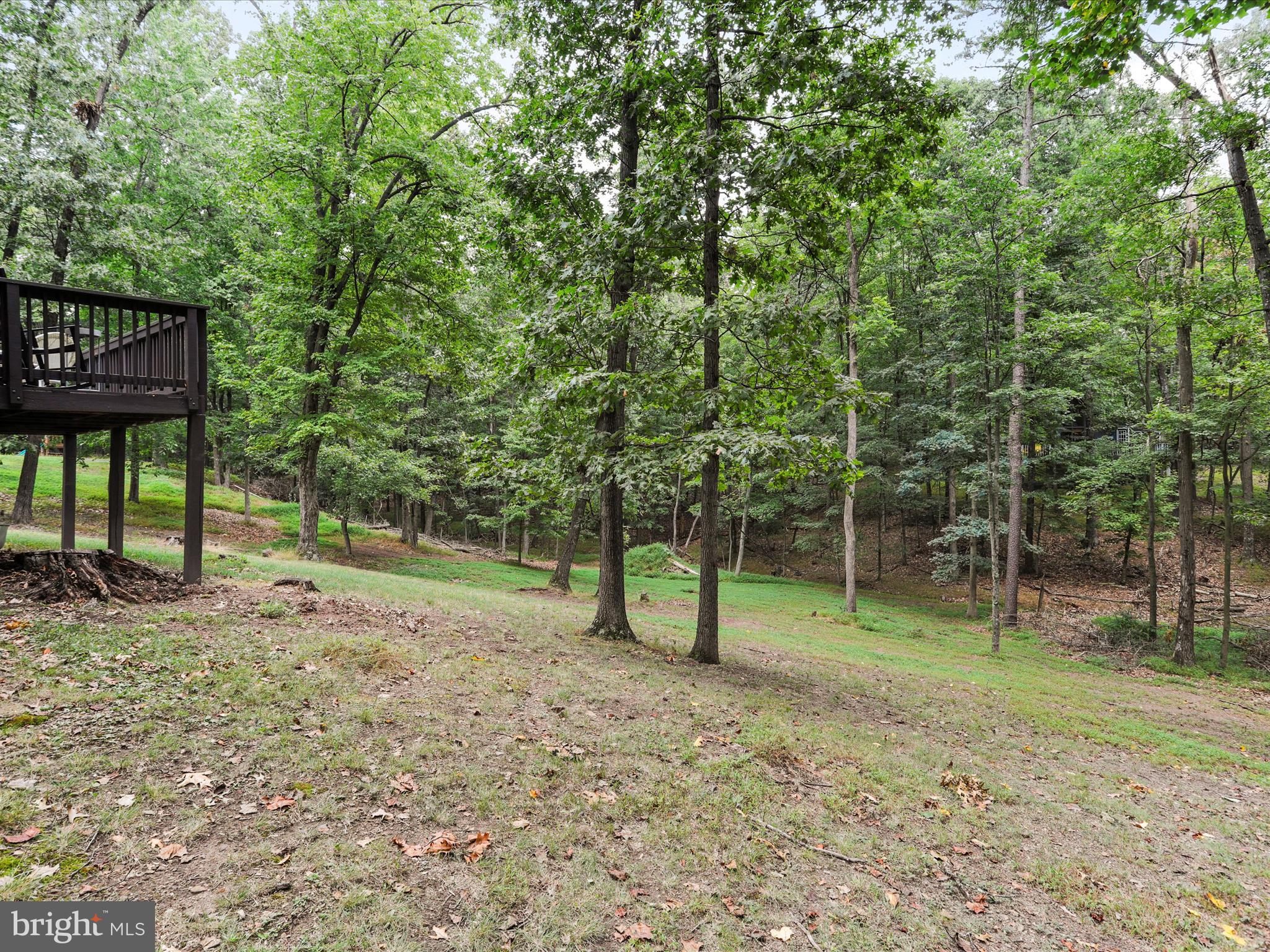 THE WOODS - Residential