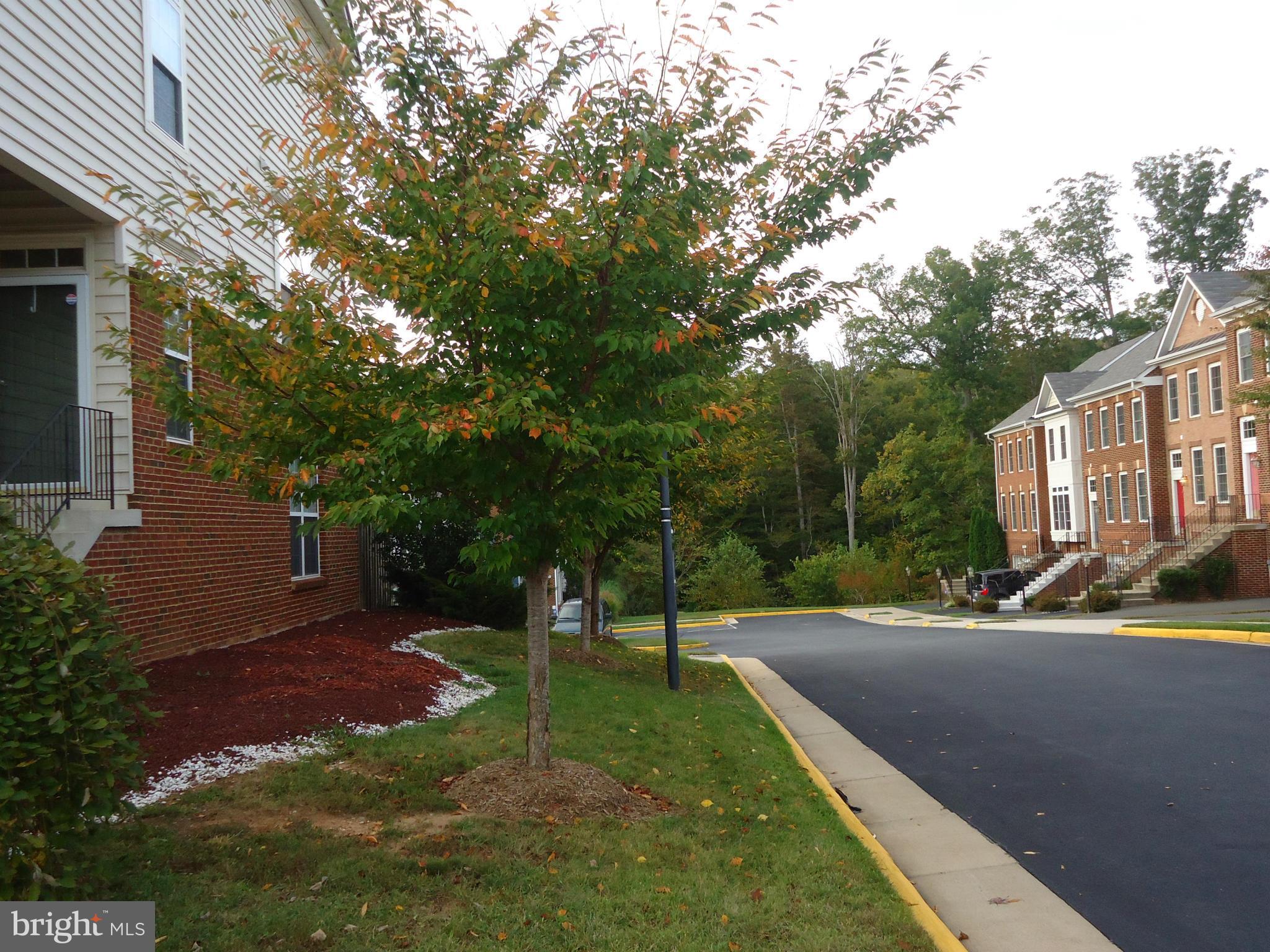 FOREST PARK - Residential