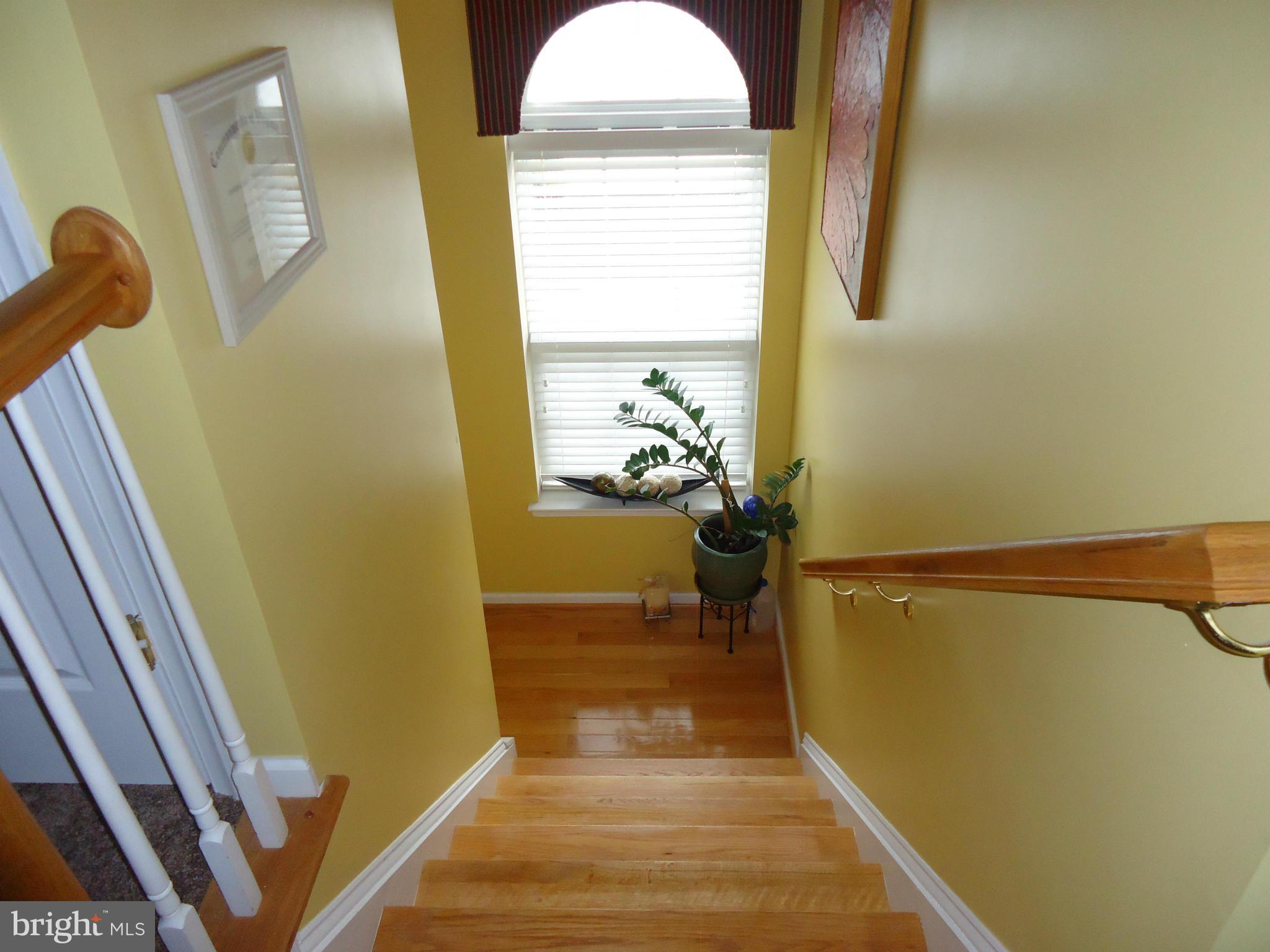 FOREST PARK - Residential