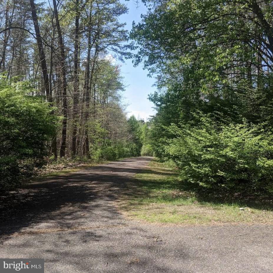 BURGOYNE FOREST WEST - Residential