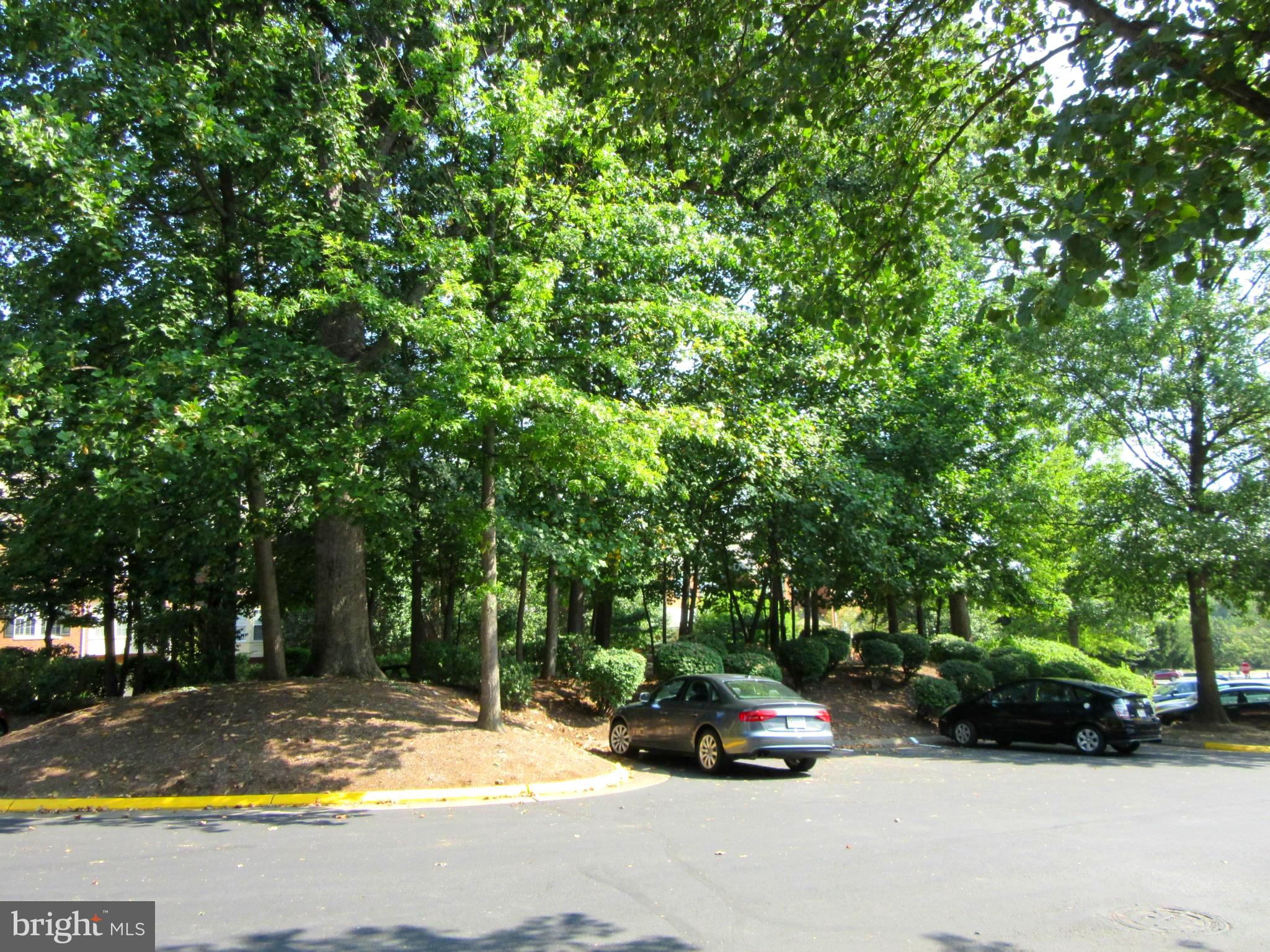 BALDWIN GROVE - Residential Lease