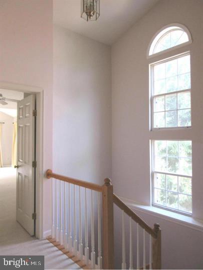 BALDWIN GROVE - Residential Lease