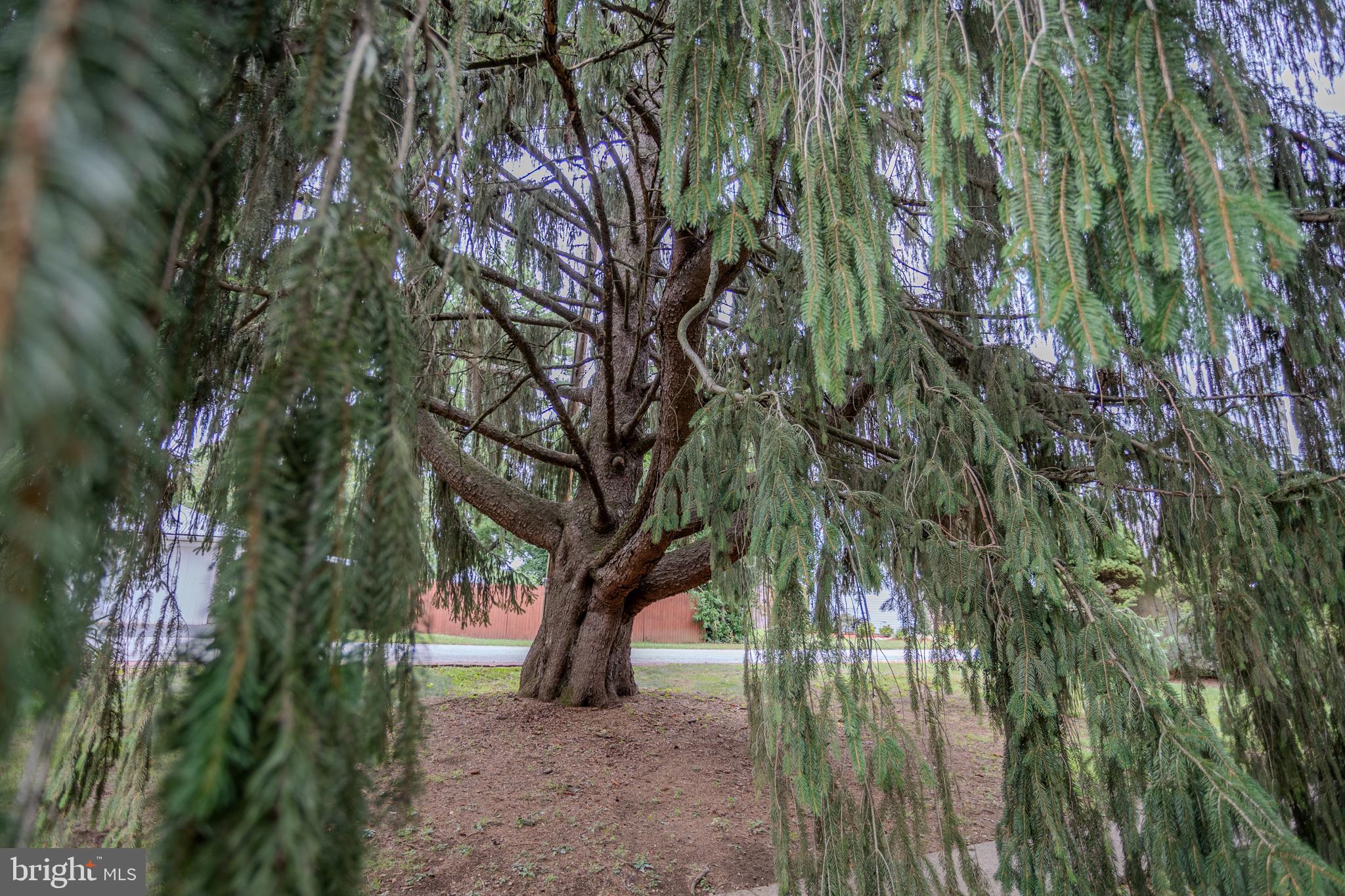 FAIRFIELD - Residential