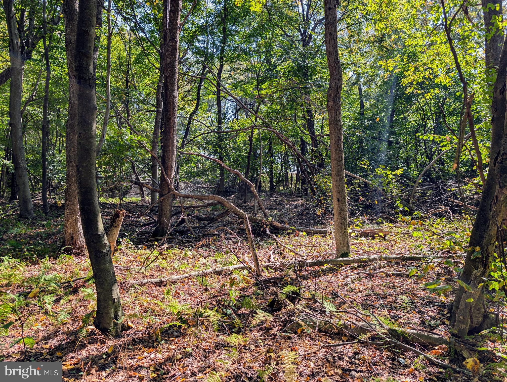 1849 POPLAR RUN ROAD LOT 2