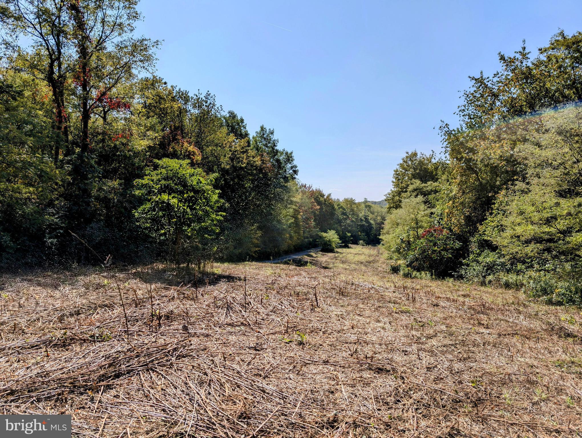 1849 POPLAR RUN ROAD LOT 2