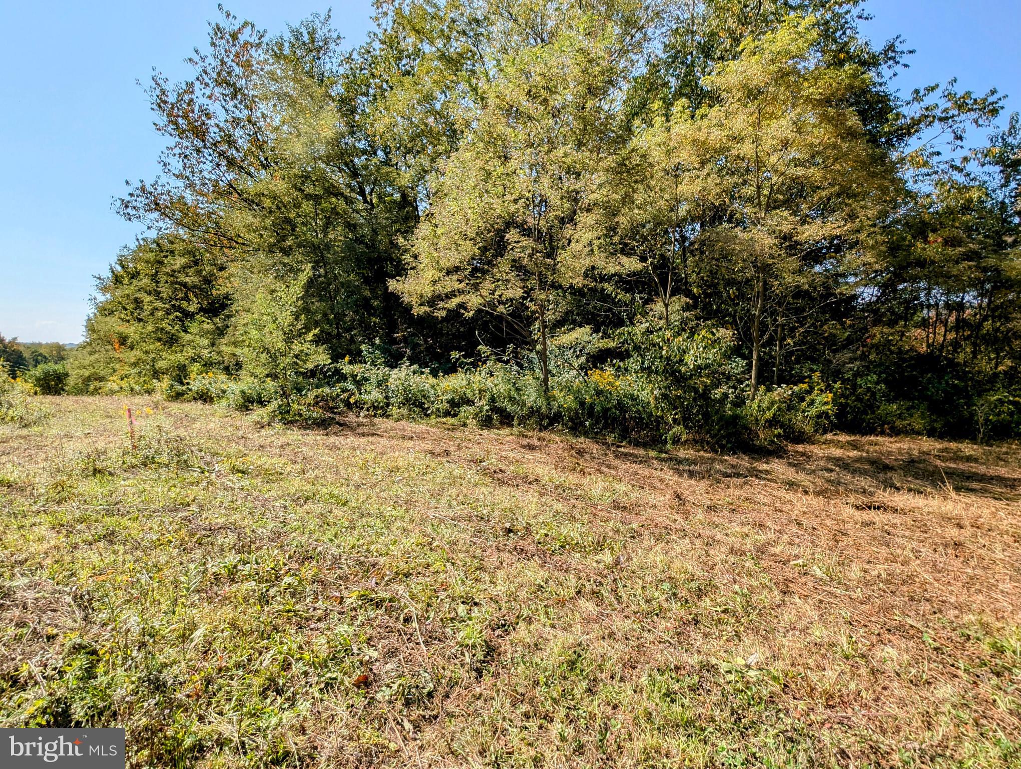 1849 POPLAR RUN ROAD LOT 2