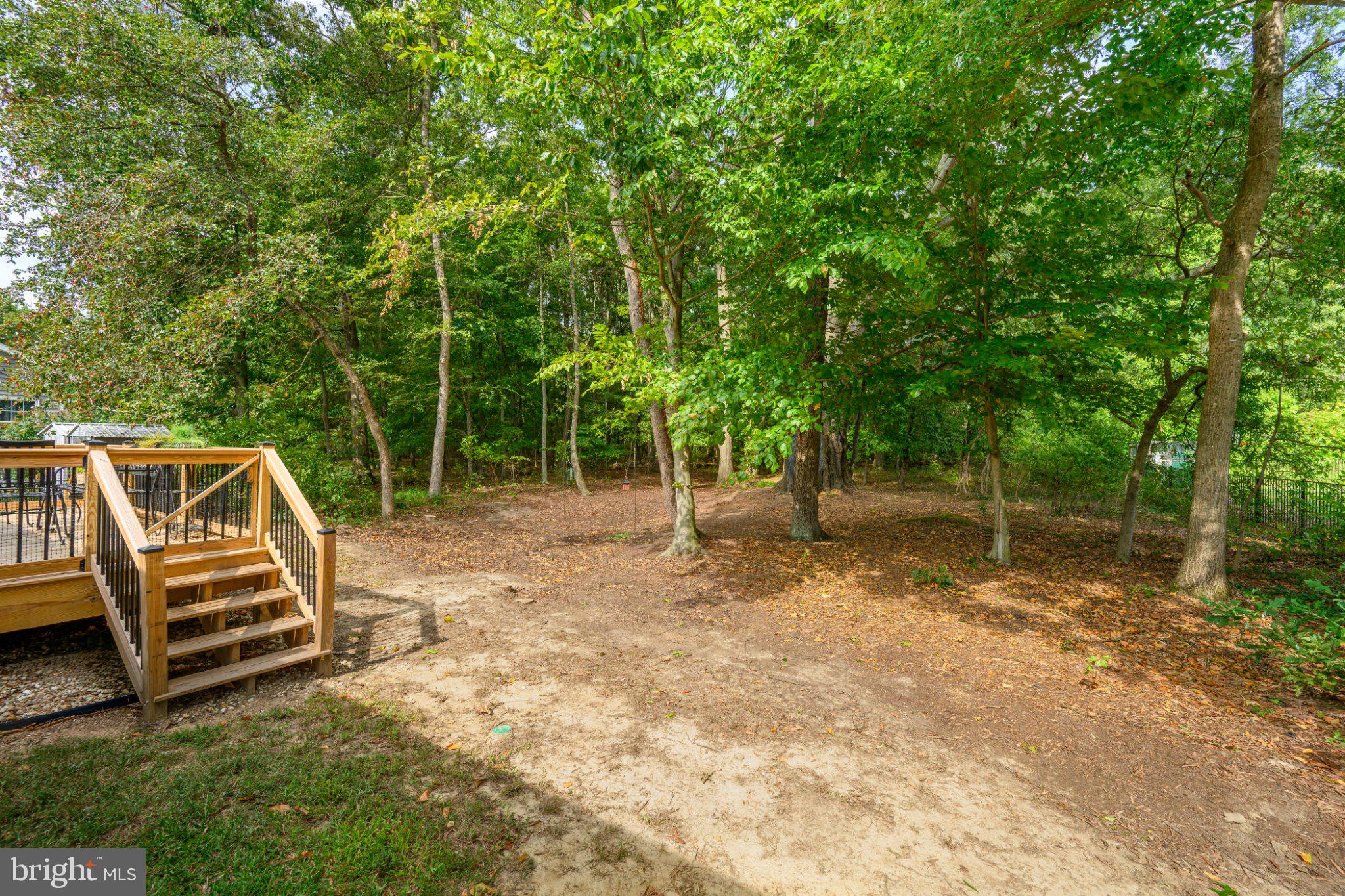 25094 REEDS MEADOW