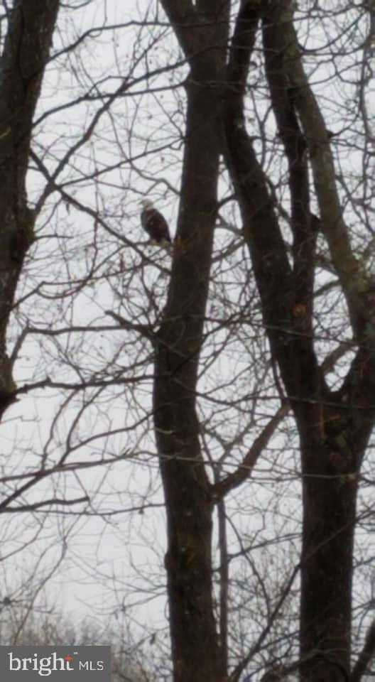 SILVER RIVER ACRES - Residential