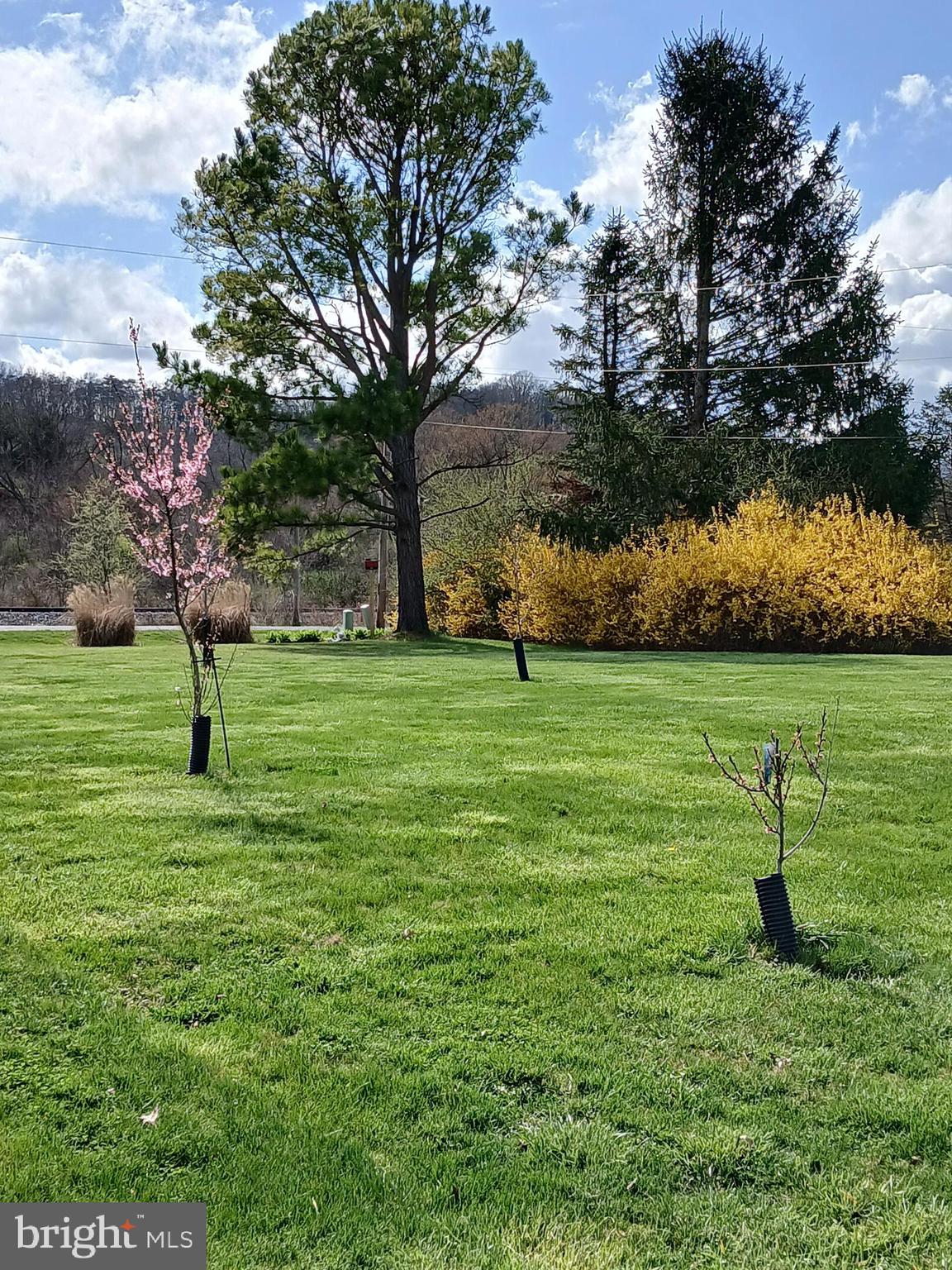 SILVER RIVER ACRES - Residential