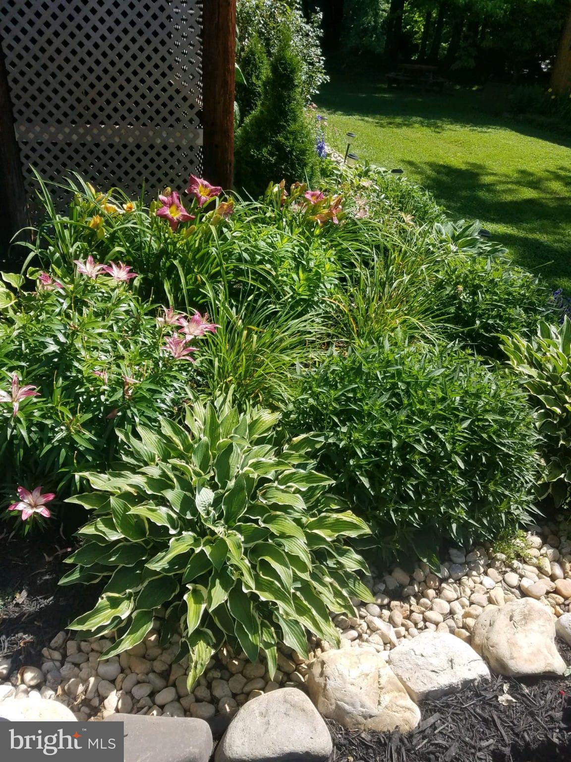 SILVER RIVER ACRES - Residential