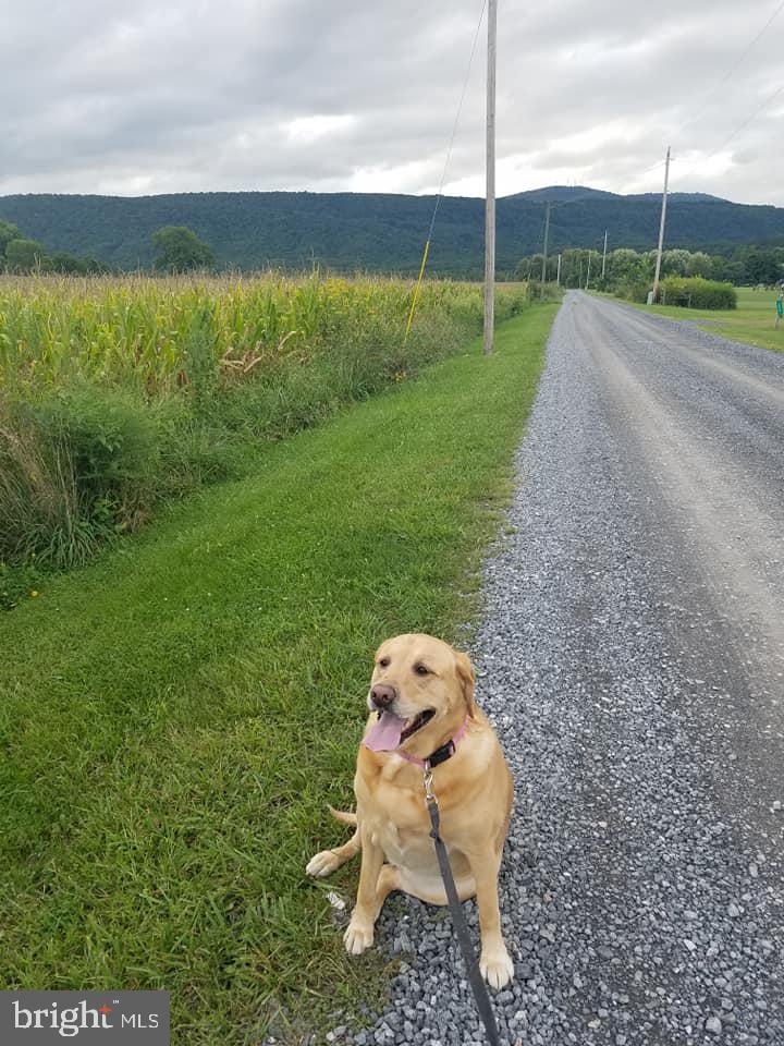 SILVER RIVER ACRES - Residential