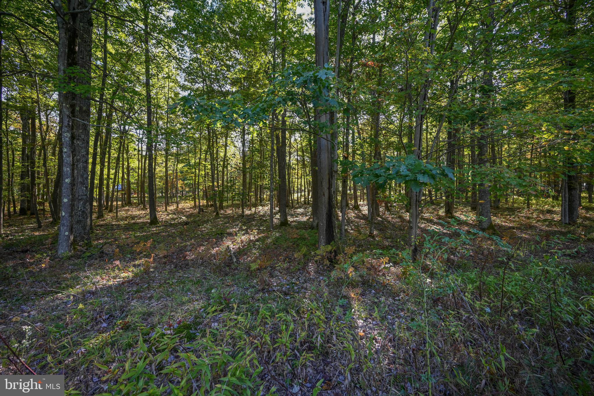 SANDY SHORES HEIGHTS - Land