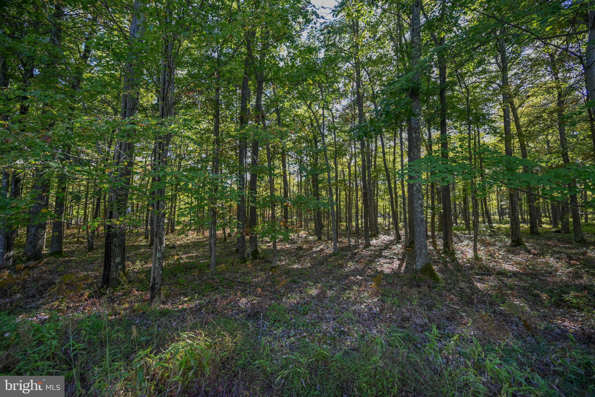 SANDY SHORES HEIGHTS - Land