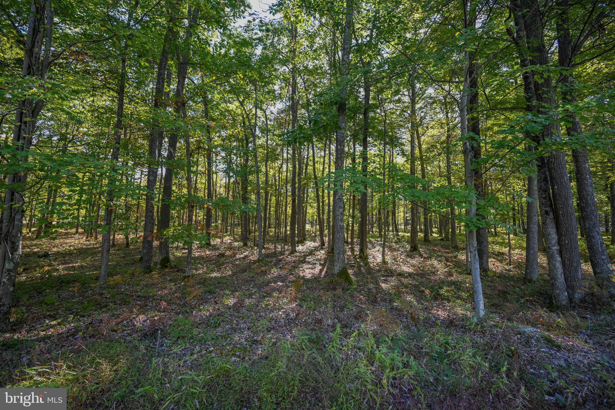 SANDY SHORES HEIGHTS - Land