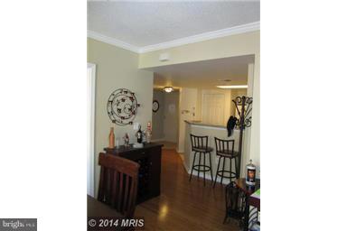 LEXINGTON SQUARE - Residential Lease