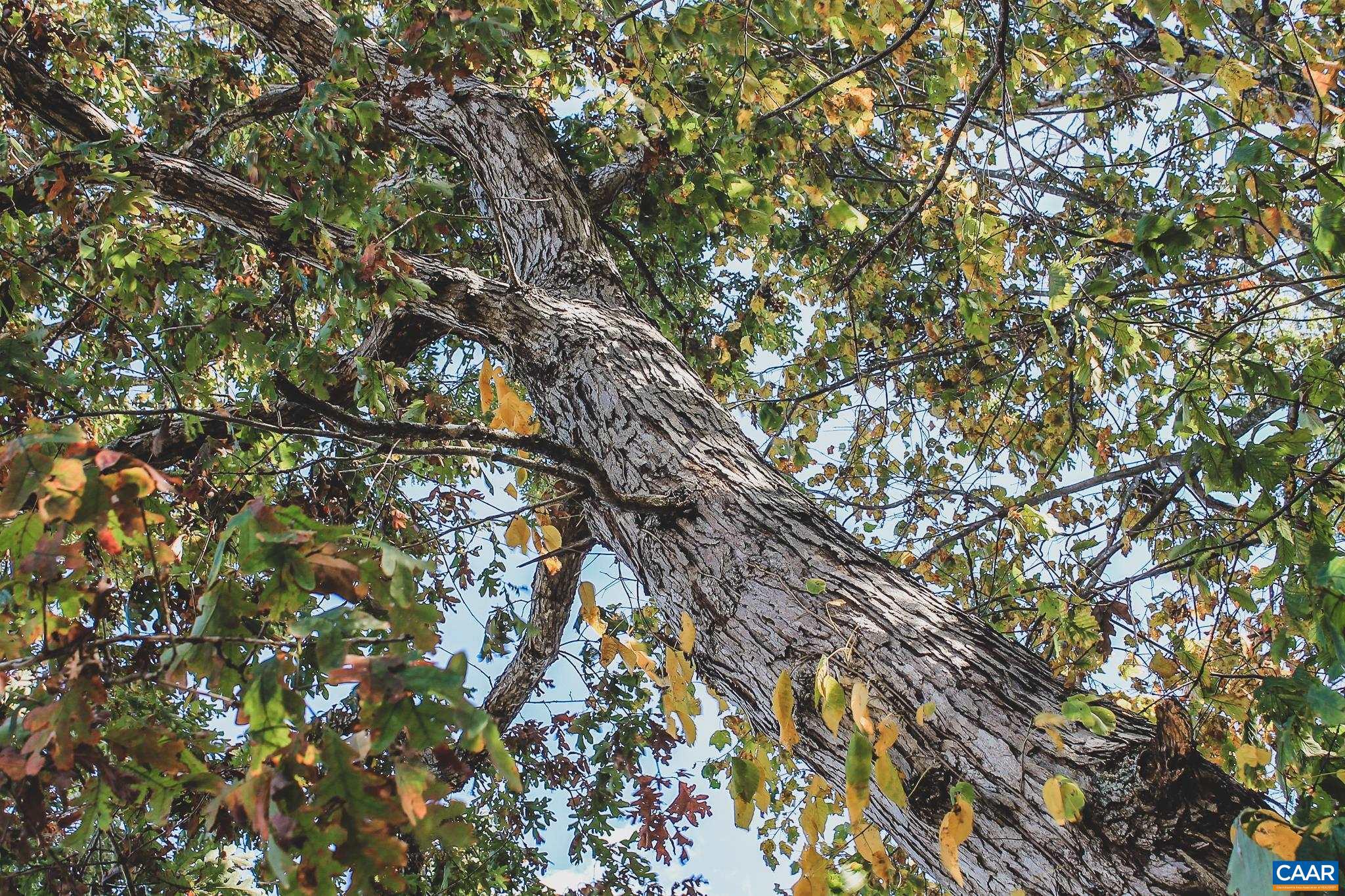 NONE AVAILABLE - Land