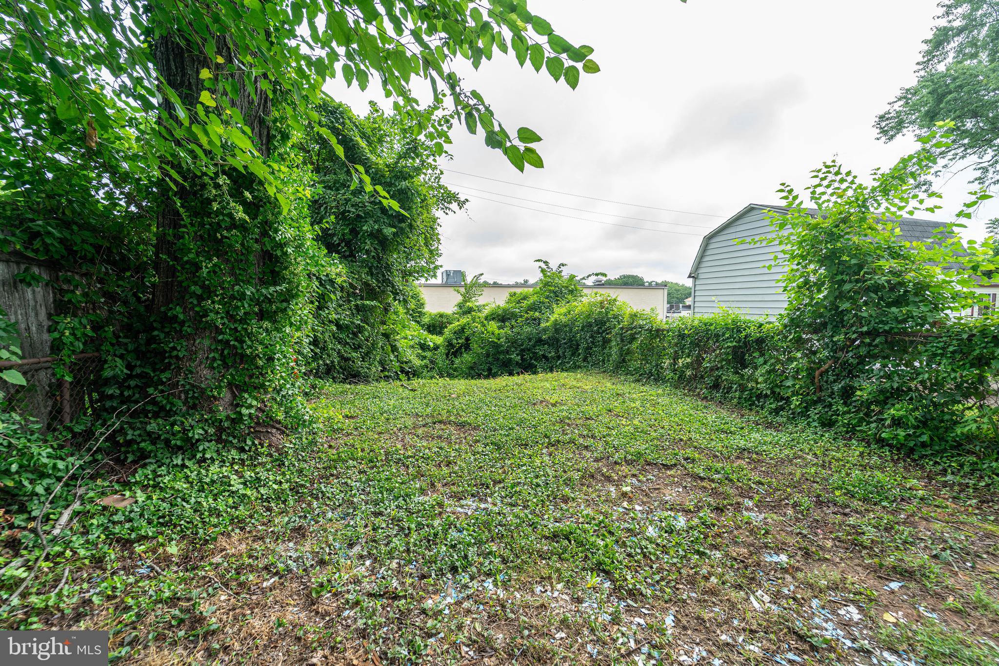 PALMER PARK - Residential