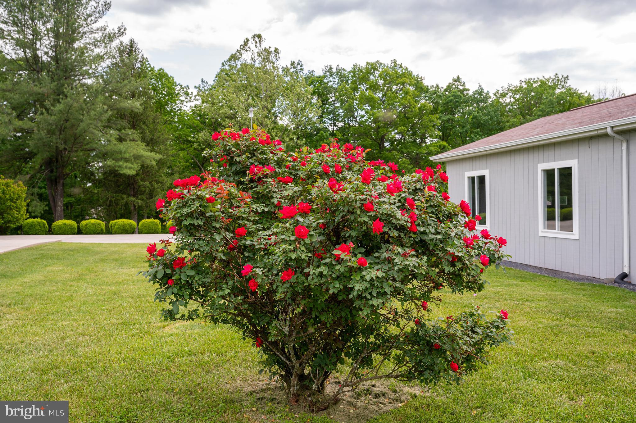 MONTEVALLO HILLS - Residential