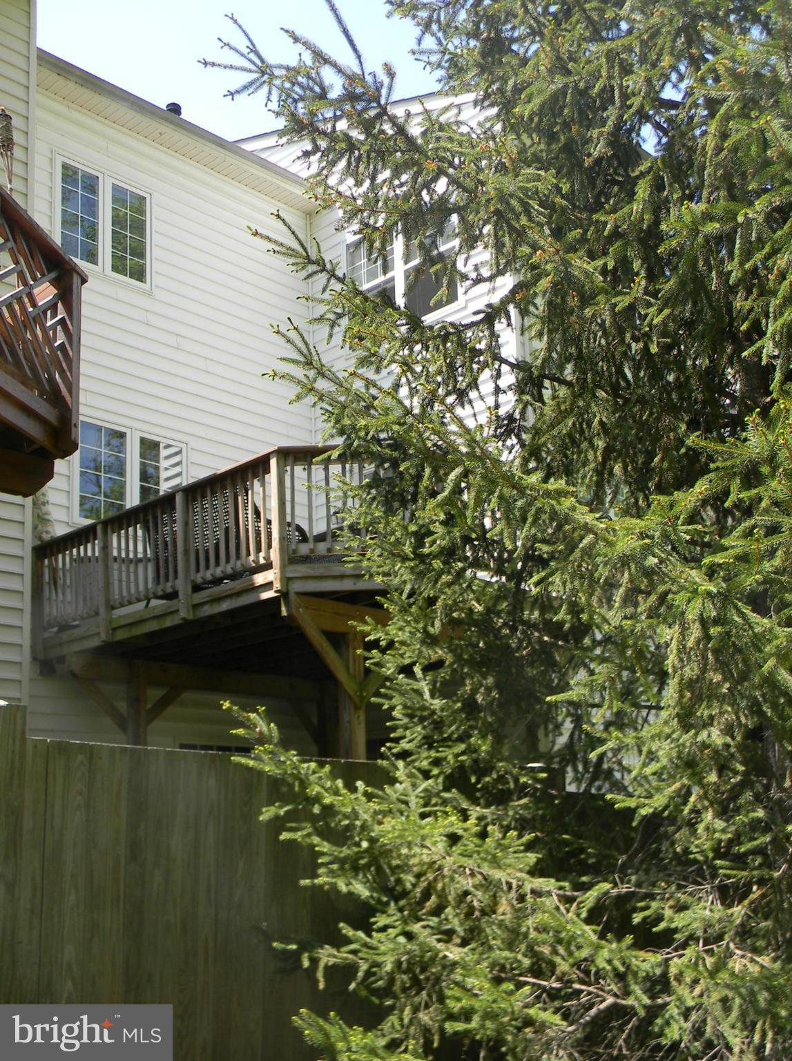 BUCKLEYS RESERVE - Residential Lease