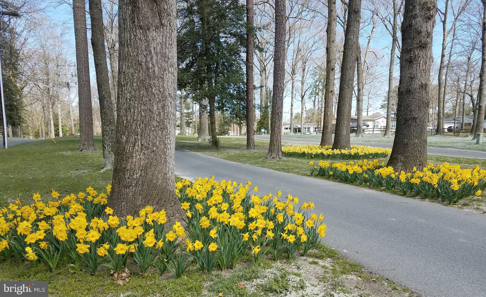 POTNETS BAYSIDE - Residential