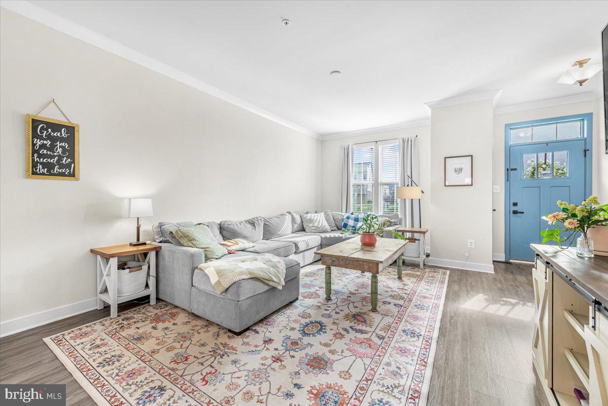 LAKE LINGANORE TOWN CENTER - Residential