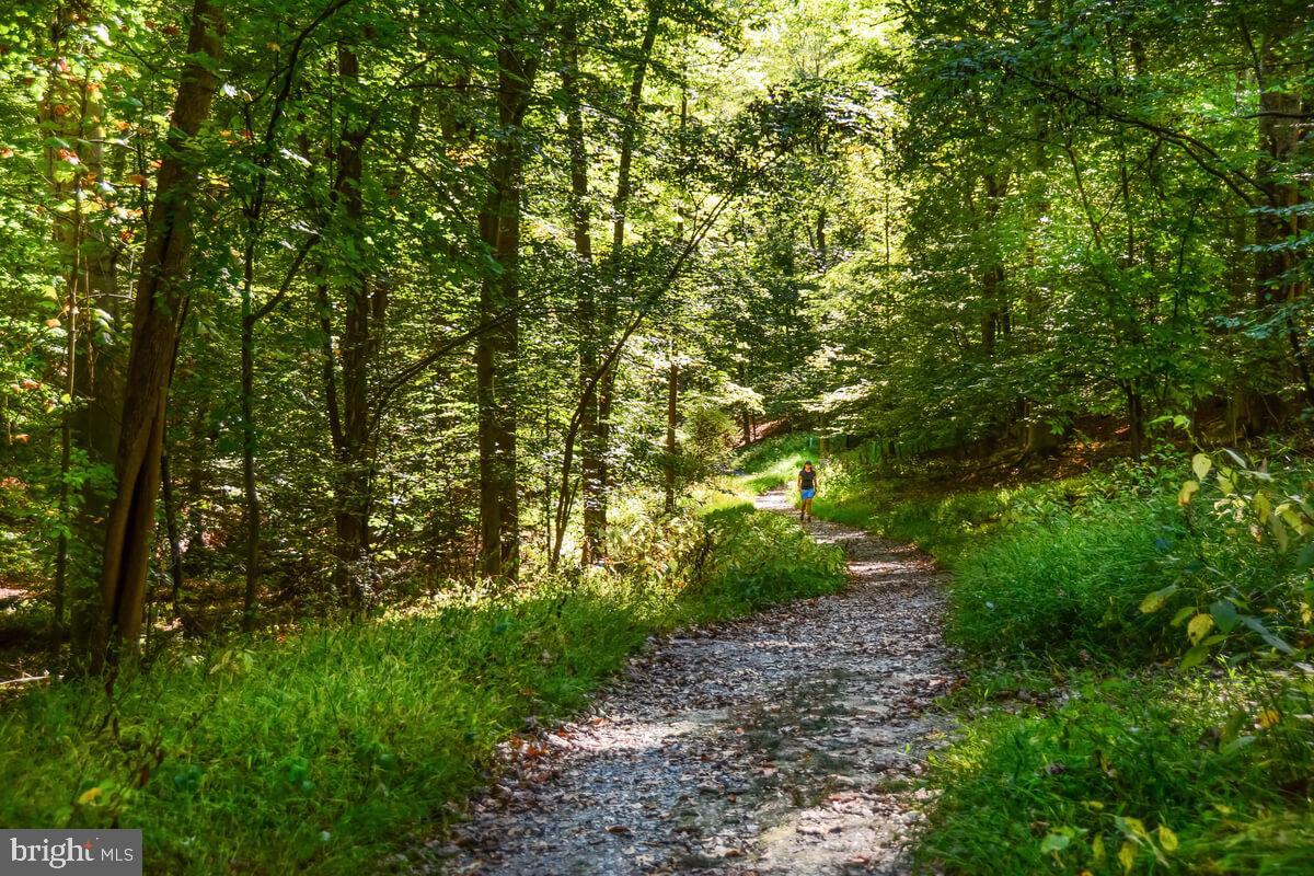 LAKE LINGANORE TOWN CENTER - Residential