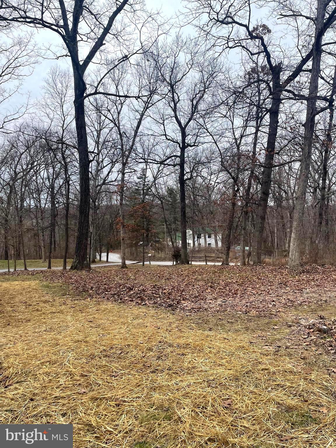 RIVER VIEW PARK - Residential