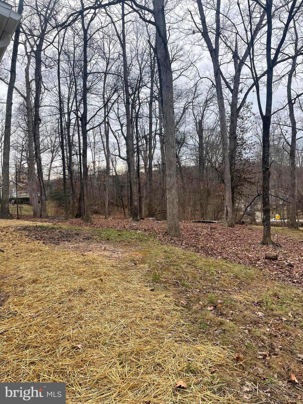 RIVER VIEW PARK - Residential